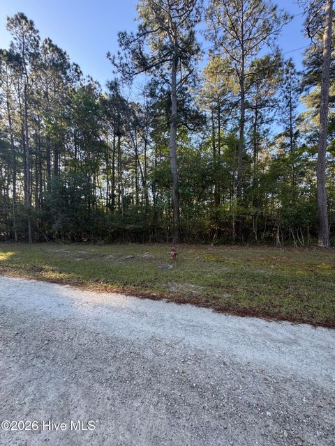 Tiny photo for 43 Pond View Circle E, Hampstead, NC 28443 (MLS # 100566451)