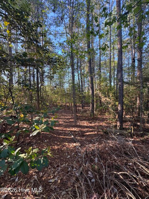 Tiny photo for 43 Pond View Circle E, Hampstead, NC 28443 (MLS # 100566451)