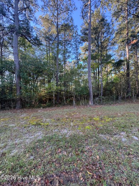 Tiny photo for 43 Pond View Circle E, Hampstead, NC 28443 (MLS # 100566451)