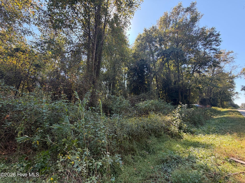Photo of 00 Faison Highway, Clinton, NC 28328 (MLS # 100612512)