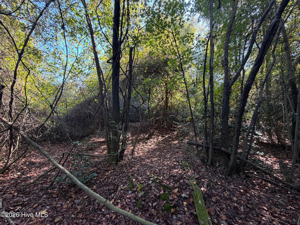 Photo of 00 Faison Highway, Clinton, NC 28328 (MLS # 100612512)