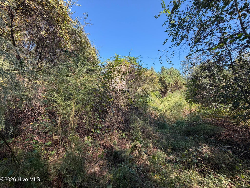 Photo of 00 Faison Highway, Clinton, NC 28328 (MLS # 100612512)