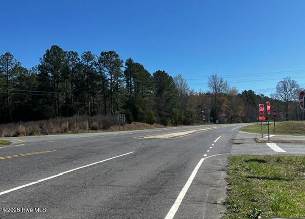 Photo of 1030 Piney Grove Church Road, Siler City, NC 27344 (MLS # 100560428)