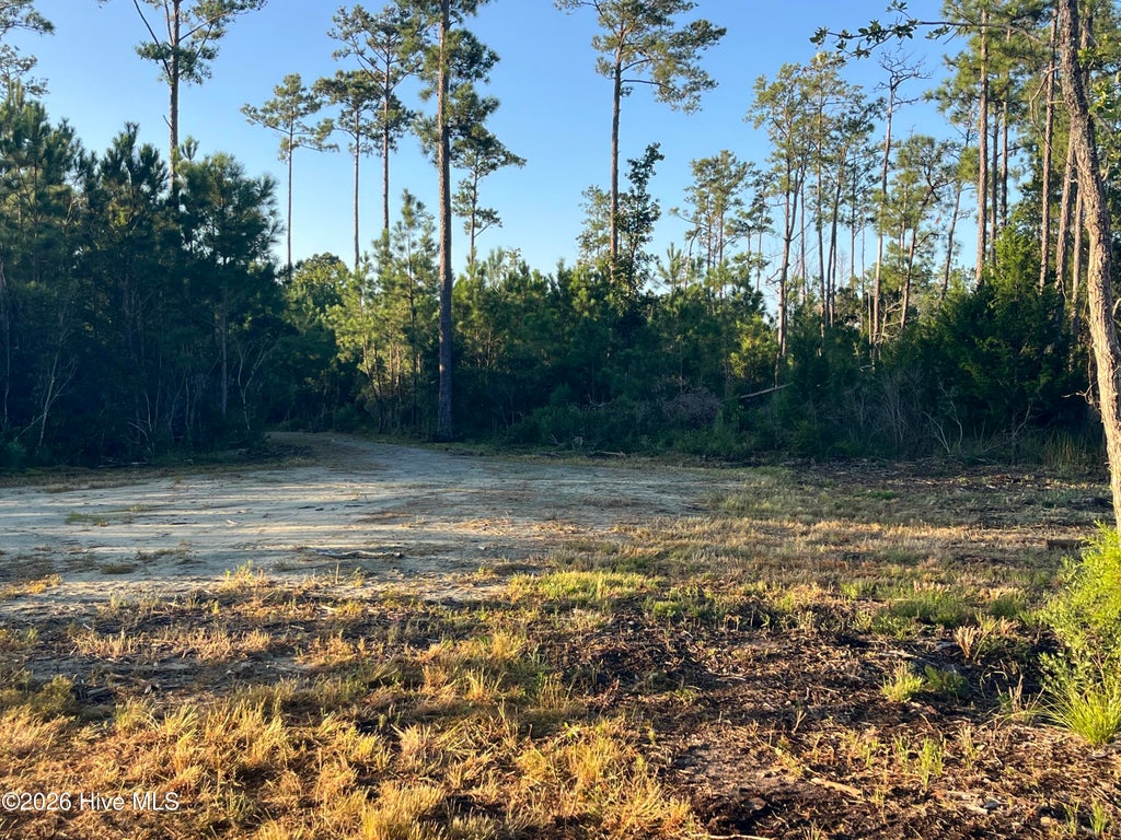 Photo of 555 Upper Neck Road, Bayboro, NC 28515 (MLS # 100603961)