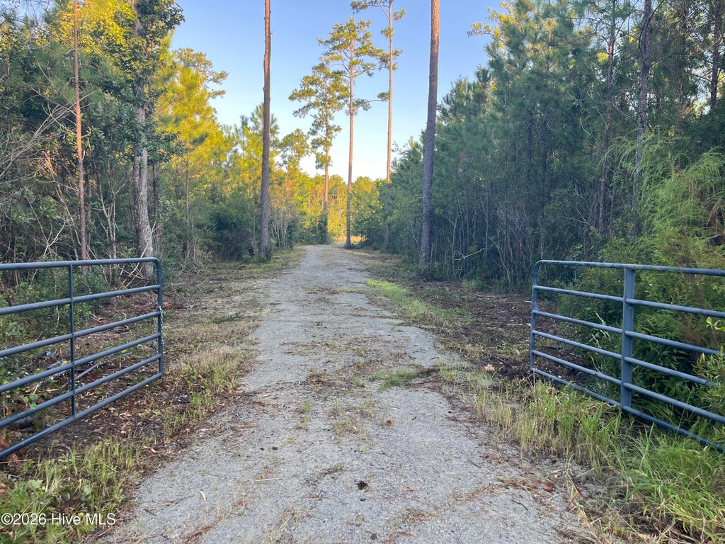 Photo of 555 Upper Neck Road, Bayboro, NC 28515 (MLS # 100603961)