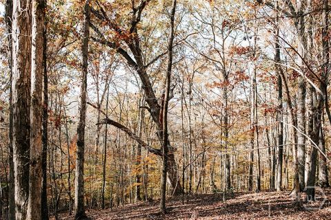 0 Greensboro Road Crawfordville GA 30631