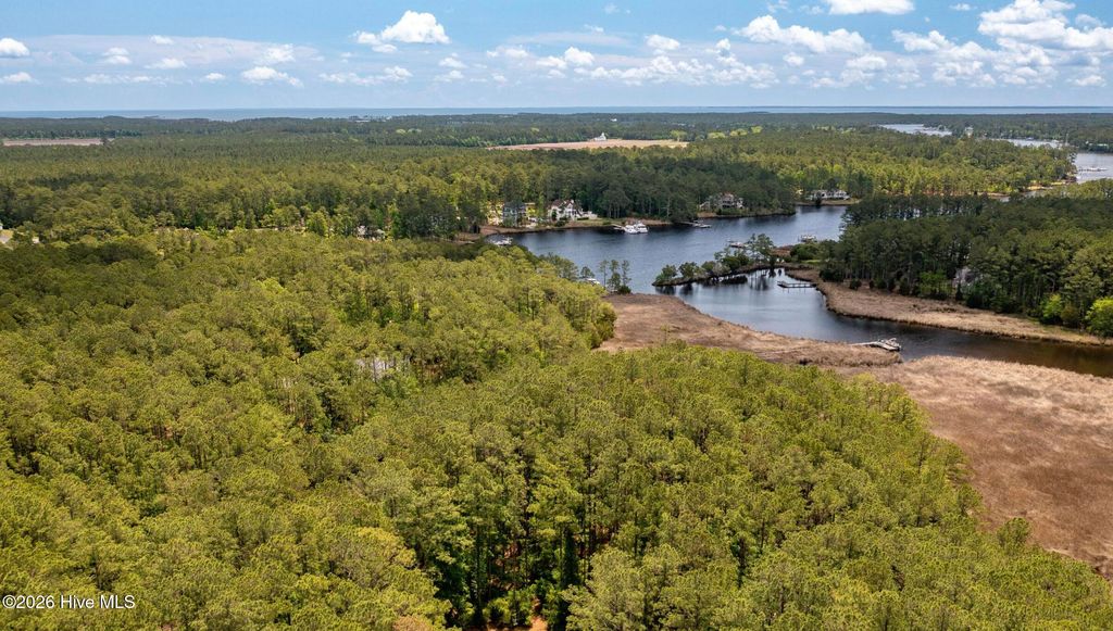 Photo of 180 Tall Pines Drive, Oriental, NC 28571 (MLS # 100555383)