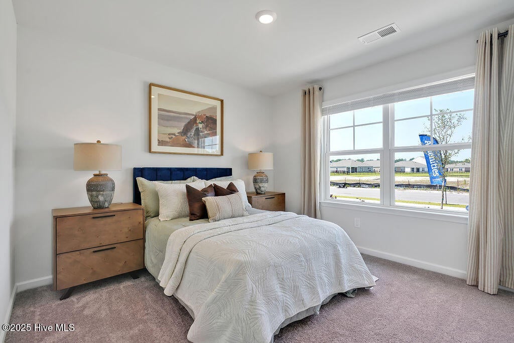 1110 Pampas Grass Drive Lot 340