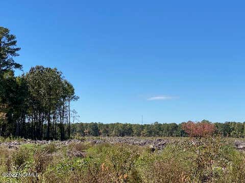 Vacant Land For Sale - Ahoskie Cofield Road<br/> Hertford County, Ahoskie, NC 27910