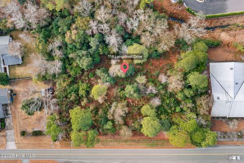 Tiny photo for 114 Longstreet Drive, Wilmington, NC 28412 (MLS # 100548492)