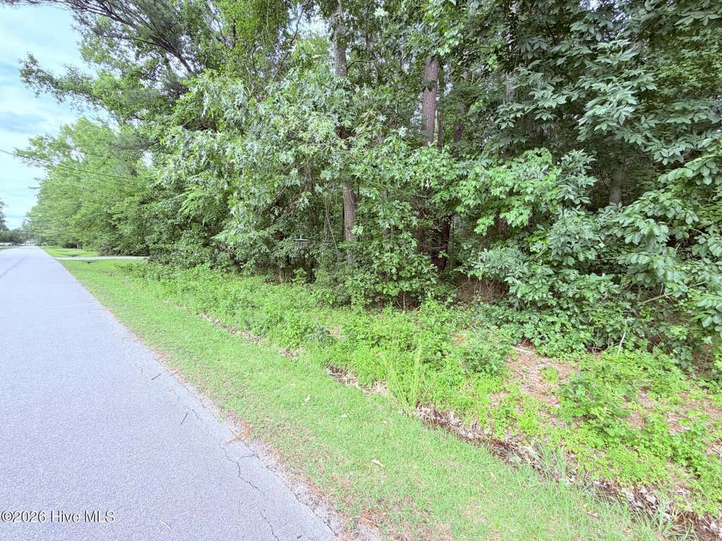 Photo of 73 Laurel Street, Hertford, NC 27944 (MLS # 100584250)