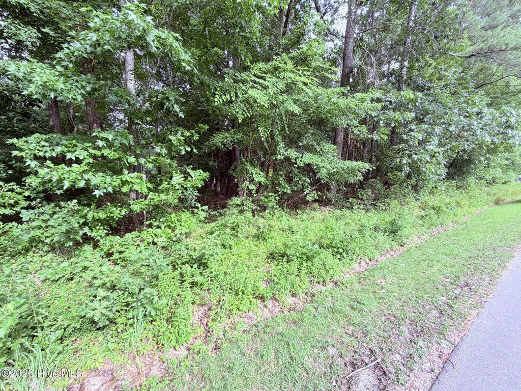 Photo of 73 Laurel Street, Hertford, NC 27944 (MLS # 100584250)