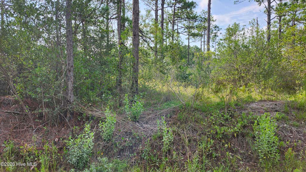 Photo of 452 Queens Road, Southport, NC 28461 (MLS # 100593173)