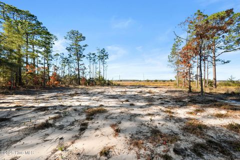 Tiny photo for 8120 River Road, Wilmington, NC 28412 (MLS # 100546524)