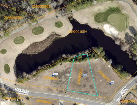Photo of 9308 Old Salem Way, Calabash, NC 28467 (MLS # 100576946)