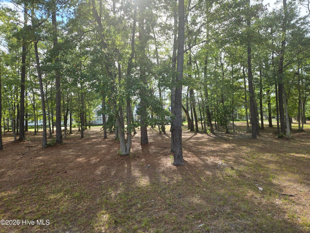 Photo of 6724 Summerhill Glen SW, Ocean Isle Beach, NC 28469 (MLS # 100603207)