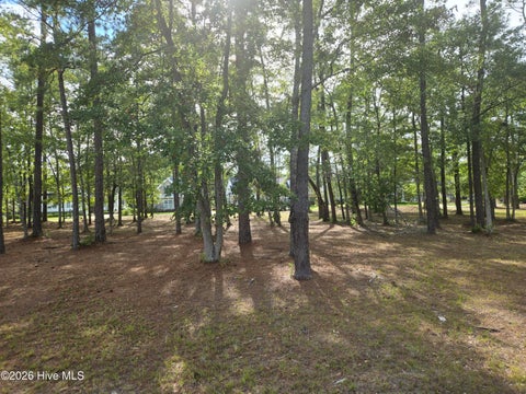 Photo of 6724 Summerhill Glen SW, Ocean Isle Beach, NC 28469 (MLS # 100603207)
