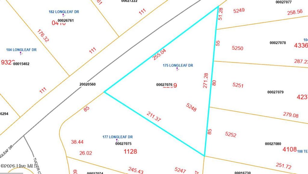 Photo of 175 Longleaf Drive, West End, NC 27376 (MLS # 100552017)