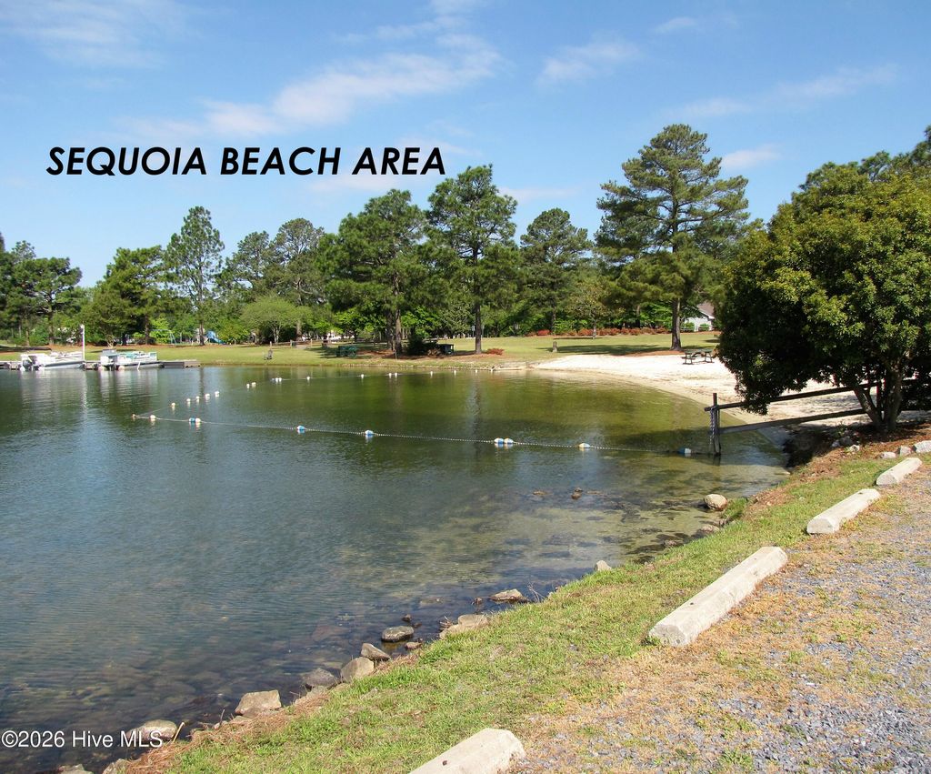 Photo of 175 Longleaf Drive, West End, NC 27376 (MLS # 100552017)