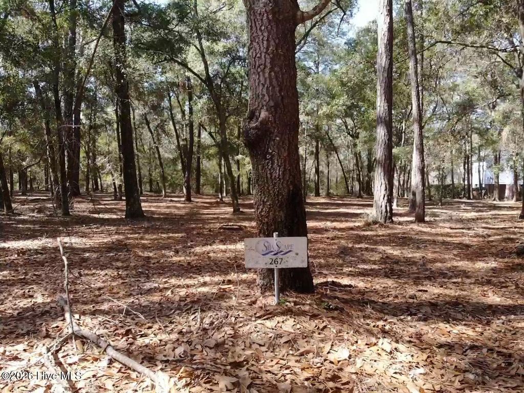 Photo of 721 Lagare Lane SW, Supply, NC 28462 (MLS # 100559095)