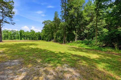 Tiny photo for 3984 Beattys Bridge Road, Atkinson, NC 28421 (MLS # 100578729)
