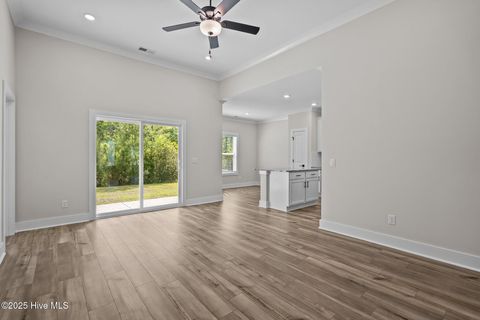 Tiny photo for 103 Umbrella Palm Drive, Hampstead, NC 28443 (MLS # 100544066)