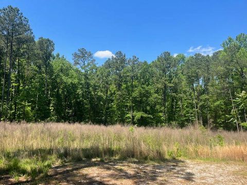 Vacant Land For Sale - 0000 Dooly Springs<br/> Lincoln County, Lincolnton, GA 30817