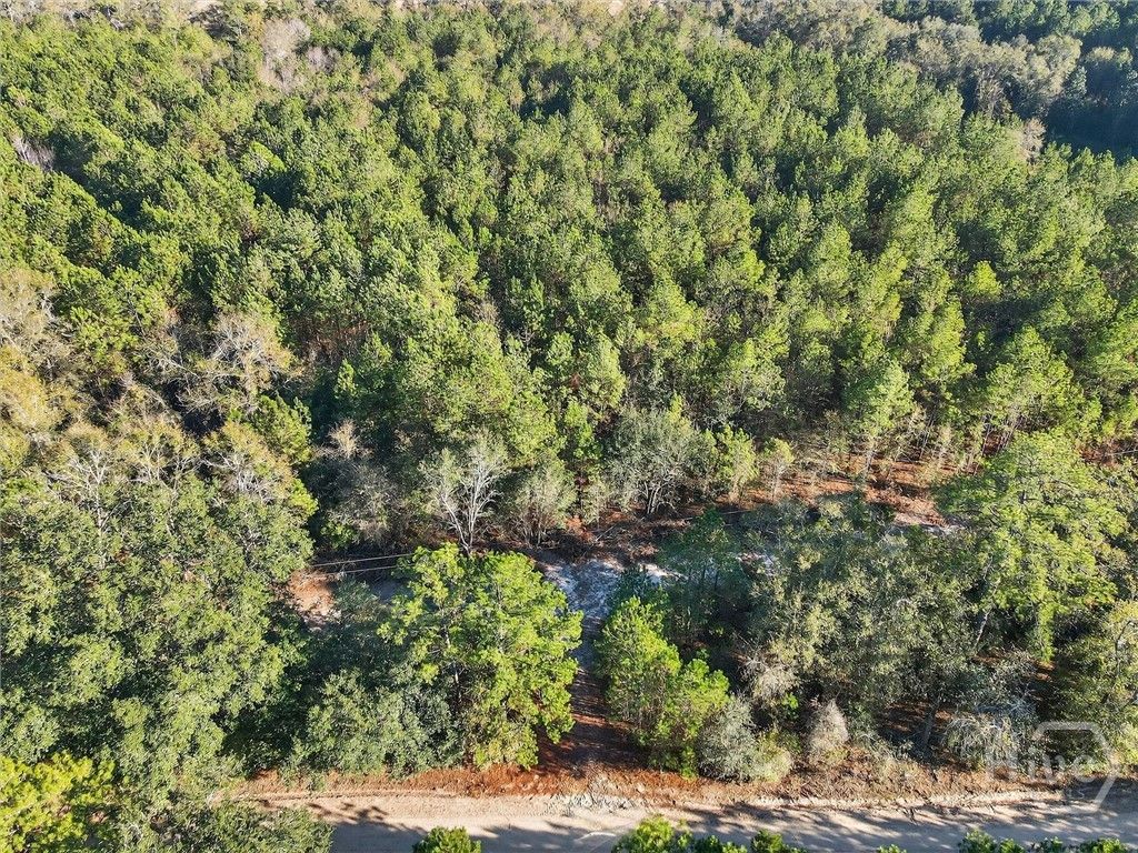 Photo of 0 Beautiful Zion Cemetery Road, Pembroke, GA 31321 (MLS # SA344959)