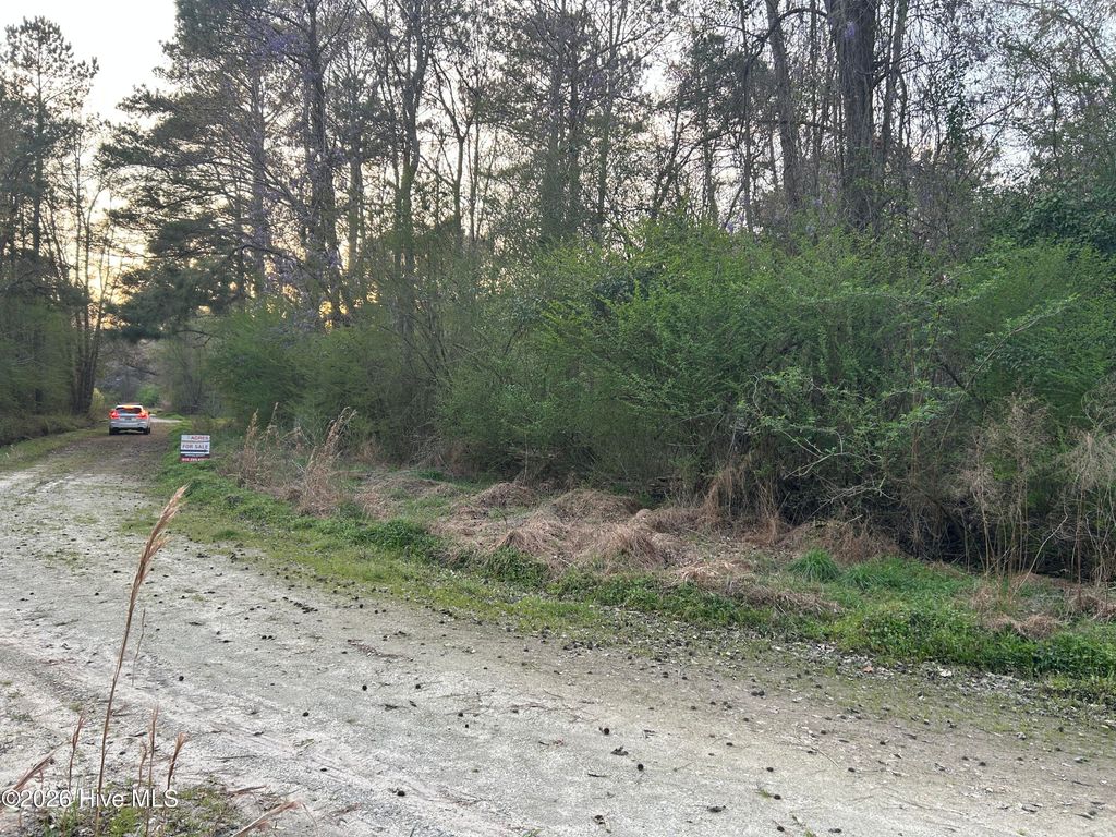 Photo of 351 Burgaw Creek Loop Road, Burgaw, NC 28425 (MLS # 100561876)