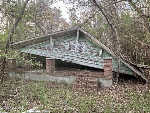 Tiny photo for 351 Burgaw Creek Loop Road, Burgaw, NC 28425 (MLS # 100561876)