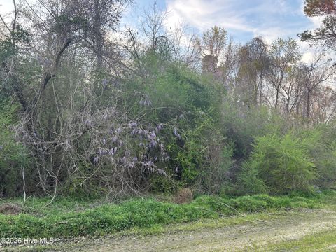 Tiny photo for 351 Burgaw Creek Loop Road, Burgaw, NC 28425 (MLS # 100561876)