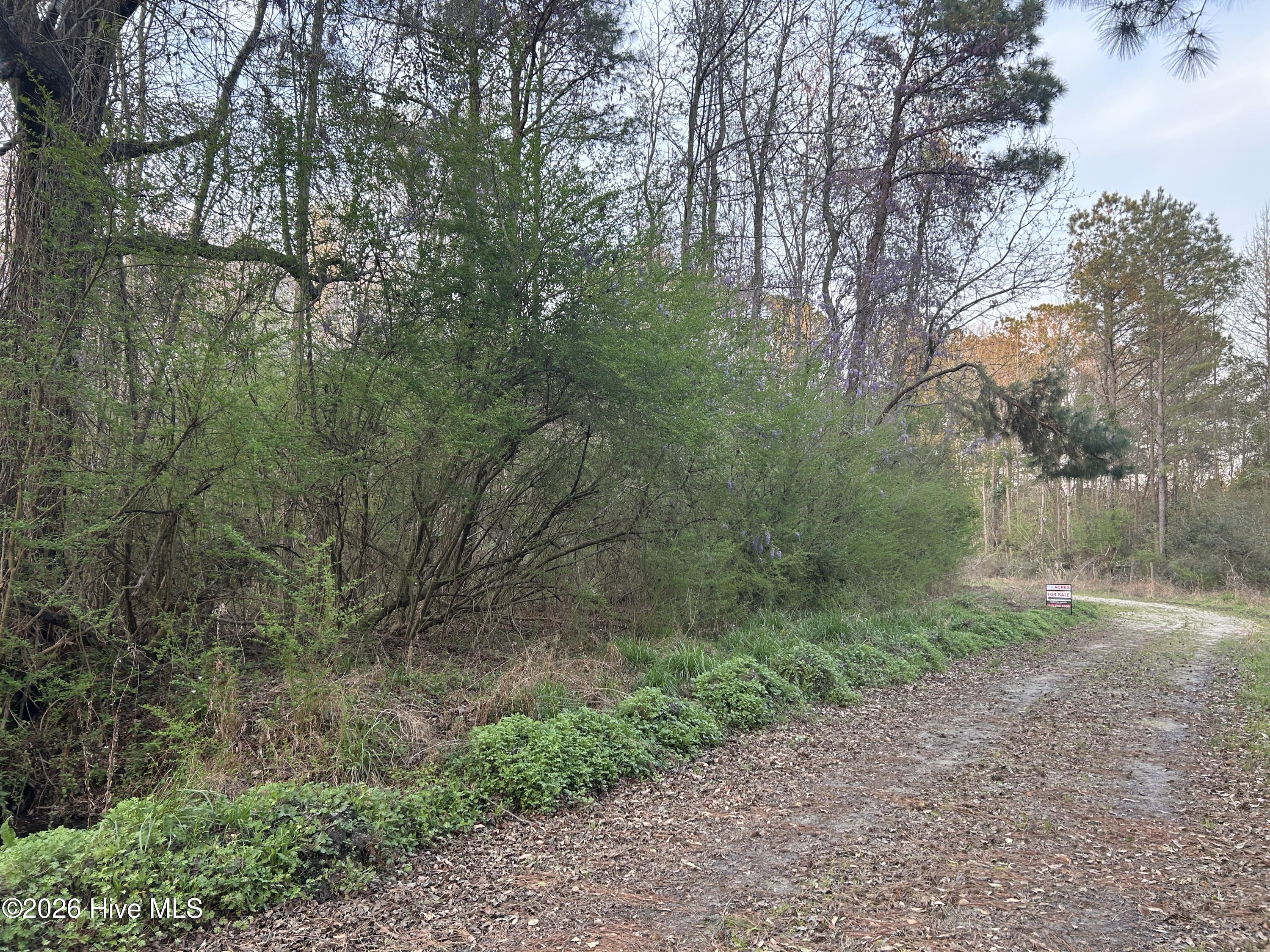 351 Burgaw Creek Loop Road