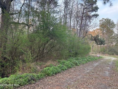 Tiny photo for 351 Burgaw Creek Loop Road, Burgaw, NC 28425 (MLS # 100561876)