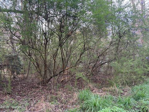 Tiny photo for 351 Burgaw Creek Loop Road, Burgaw, NC 28425 (MLS # 100561876)