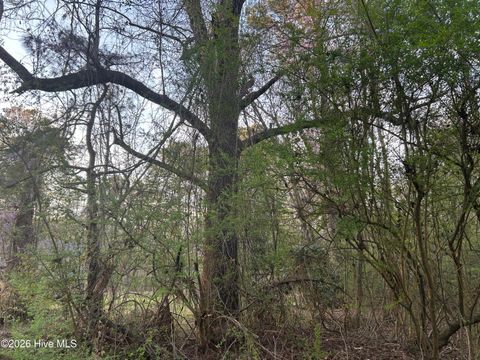 Tiny photo for 351 Burgaw Creek Loop Road, Burgaw, NC 28425 (MLS # 100561876)