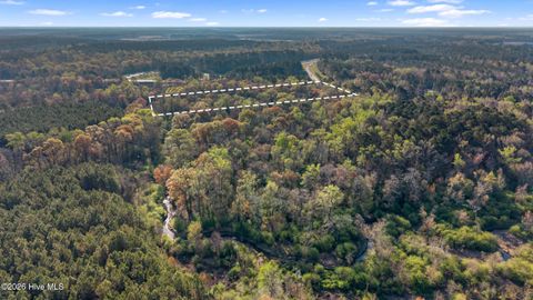 Tiny photo for 351 Burgaw Creek Loop Road, Burgaw, NC 28425 (MLS # 100561876)