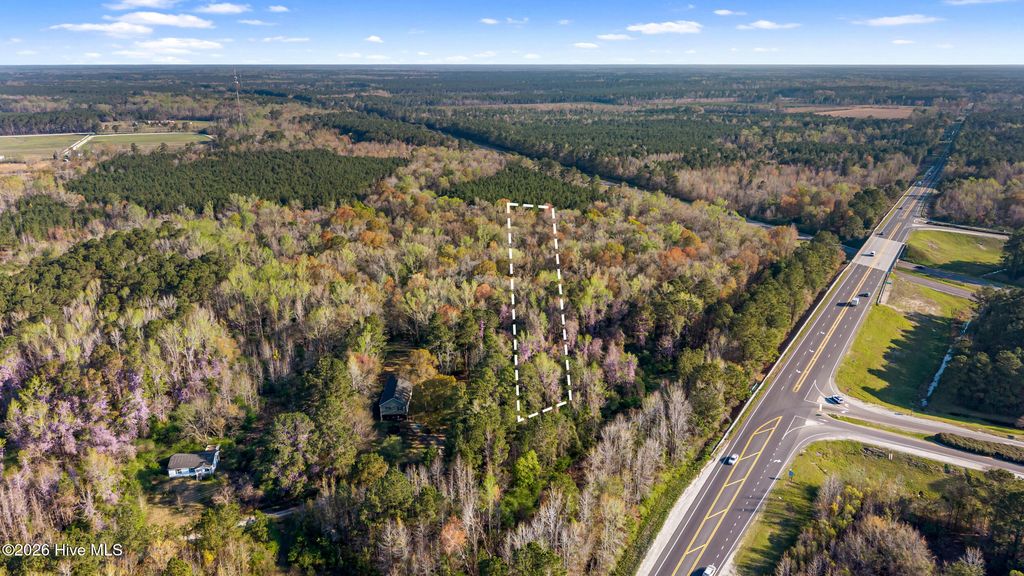 Photo of 351 Burgaw Creek Loop Road, Burgaw, NC 28425 (MLS # 100561876)