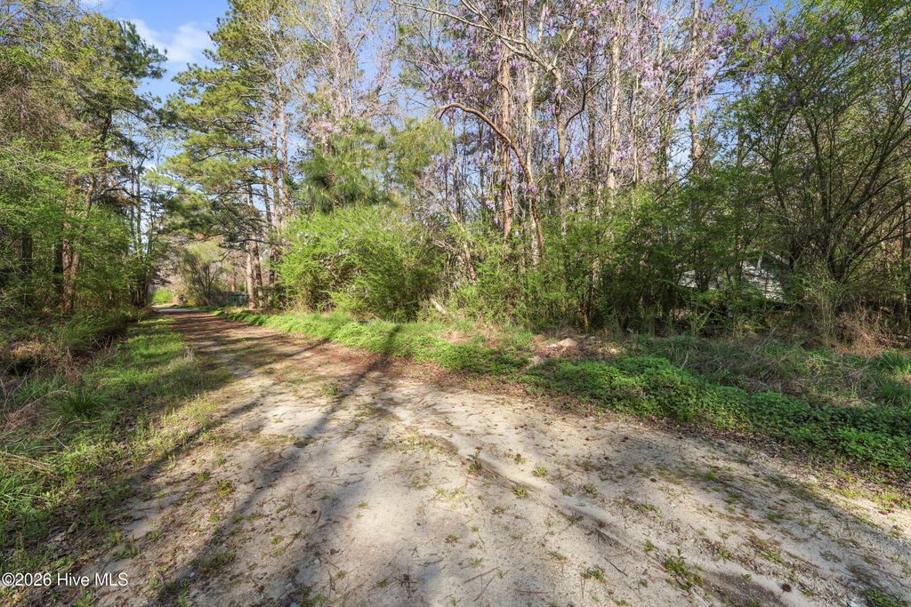 Photo of 351 Burgaw Creek Loop Road, Burgaw, NC 28425 (MLS # 100561876)
