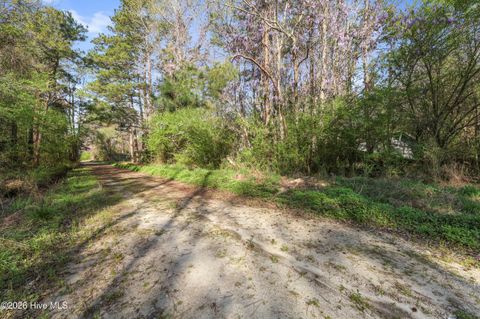 Tiny photo for 351 Burgaw Creek Loop Road, Burgaw, NC 28425 (MLS # 100561876)