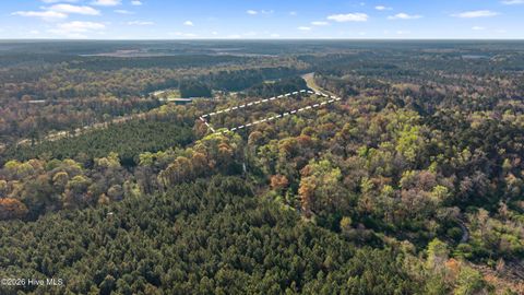 Tiny photo for 351 Burgaw Creek Loop Road, Burgaw, NC 28425 (MLS # 100561876)