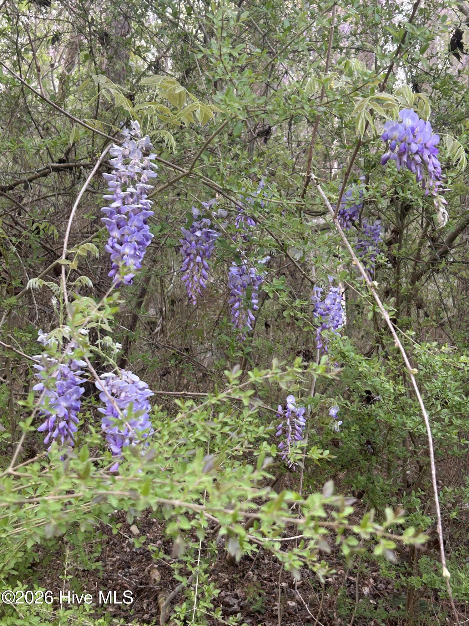 351 Burgaw Creek Loop Road