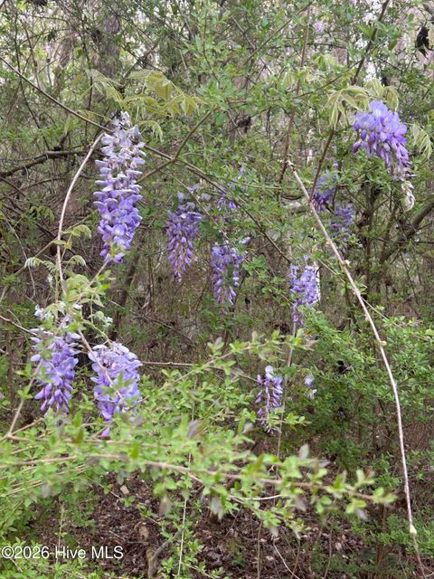 Tiny photo for 351 Burgaw Creek Loop Road, Burgaw, NC 28425 (MLS # 100561876)