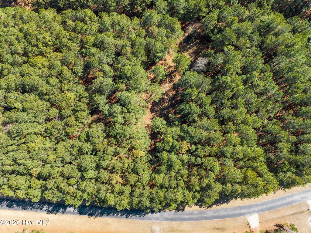 Photo of 116 Garbacon Drive, Beaufort, NC 28516 (MLS # 100556685)