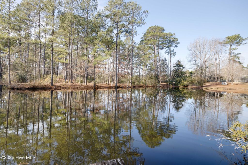 Photo of 275 Juanita Lane, New Bern, NC 28560 (MLS # 100549570)