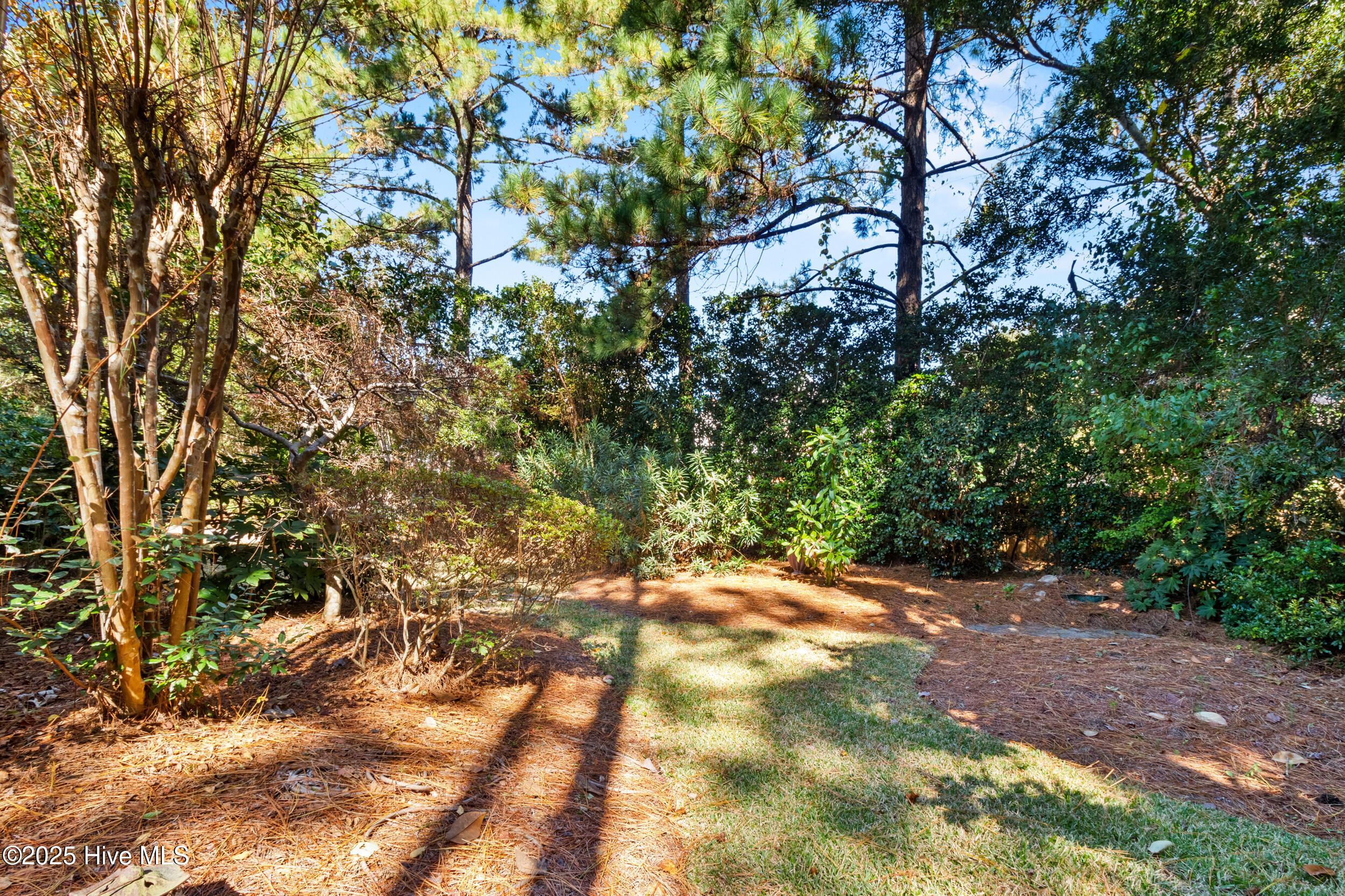 Wilmington, North Carolina 28409, United States, 3 Bedrooms Bedrooms, ,3 BathroomsBathrooms,Residential,Active,255698