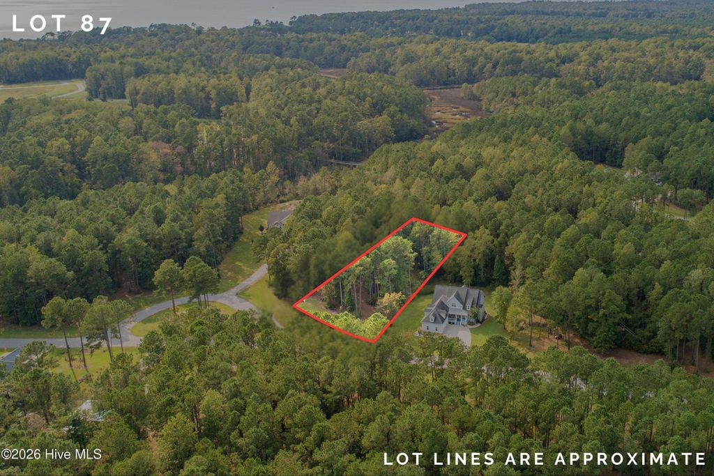 Photo of 10 Peppervine Court, Minnesott Beach, NC 28510 (MLS # 100573897)