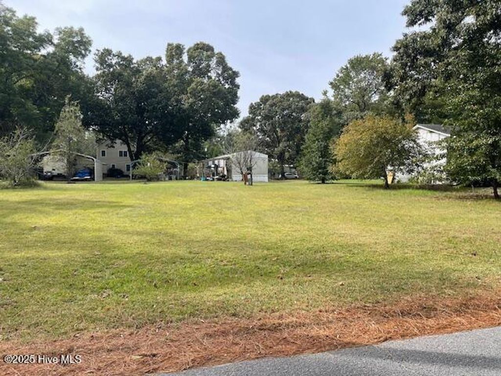 Photo of 1819 King Blount Drive, Bath, NC 27808 (MLS # 100536412)