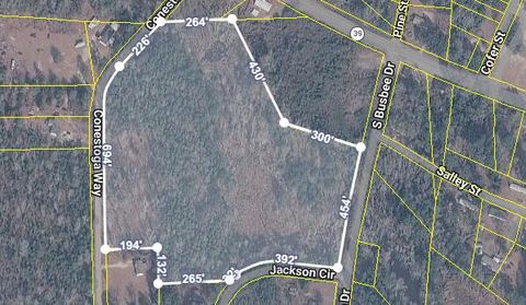 Vacant Land For Sale - S Busbee South Drive<br/> Wagener, SC 29164