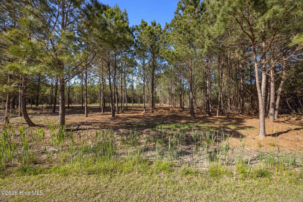 Photo of 11 E Diamond Shoal Lane, Vandemere, NC 28587 (MLS # 100565574)