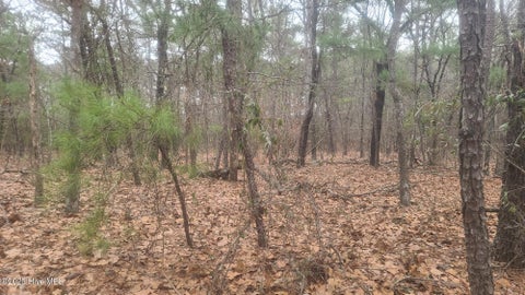 Vacant Land For Sale - TBD Union Church Road<br/> Carthage, NC 28327
